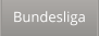 Bundesliga