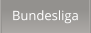 Bundesliga
