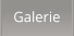 Galerie